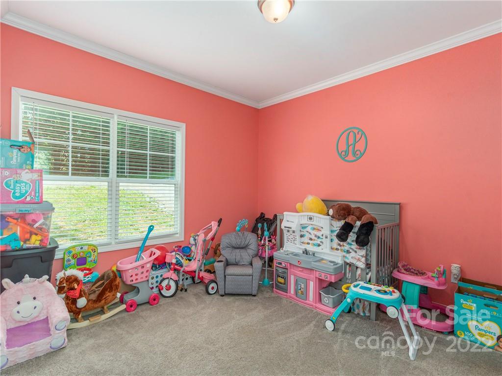 93 Gibbs Road Leicester, NC 28748 - Photo 8 of 19 Gallery Image 8