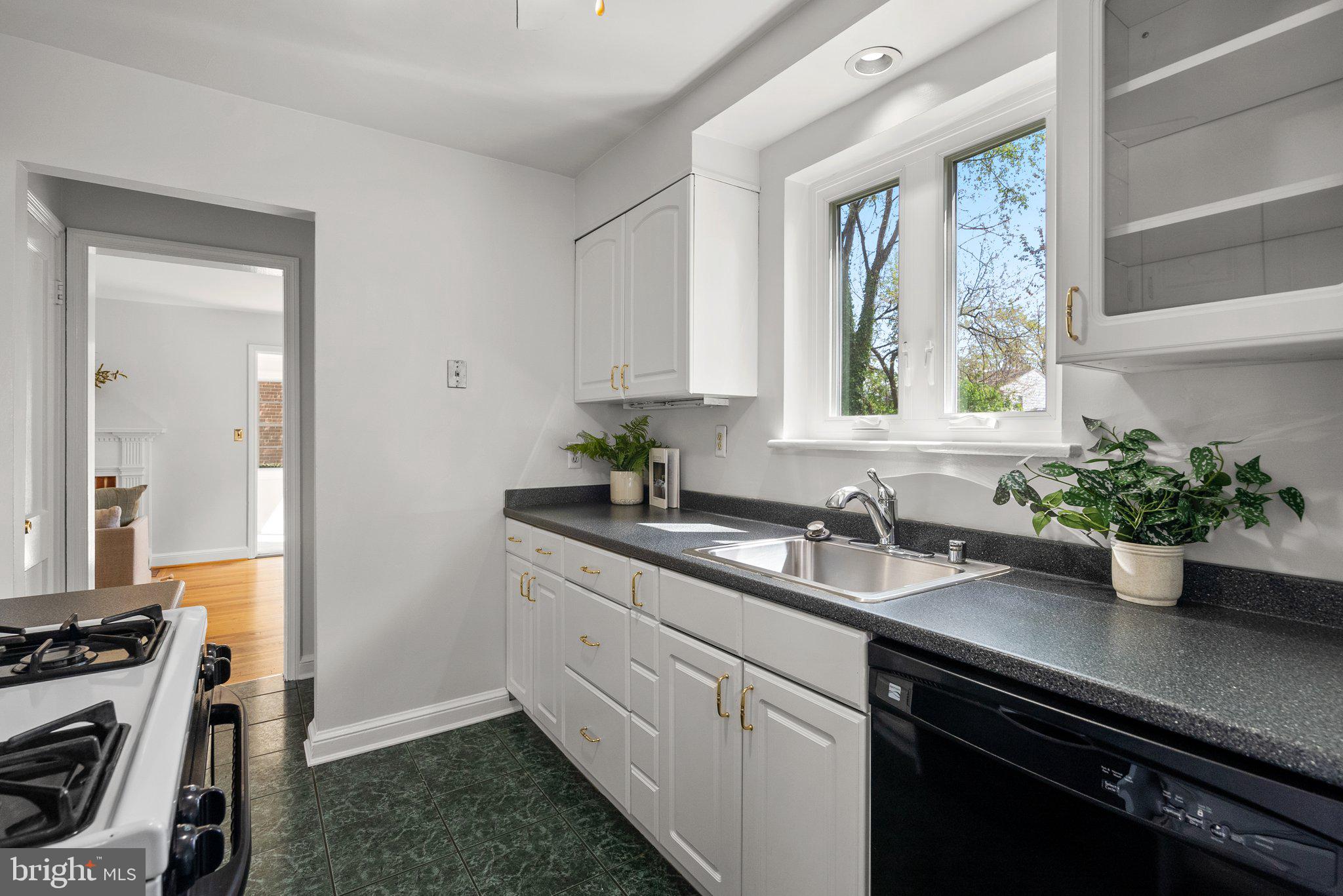 1012 Stirling Road Silver Spring, MD 20901 - Photo 13 of 44 a kitchen with a sink and potted plant