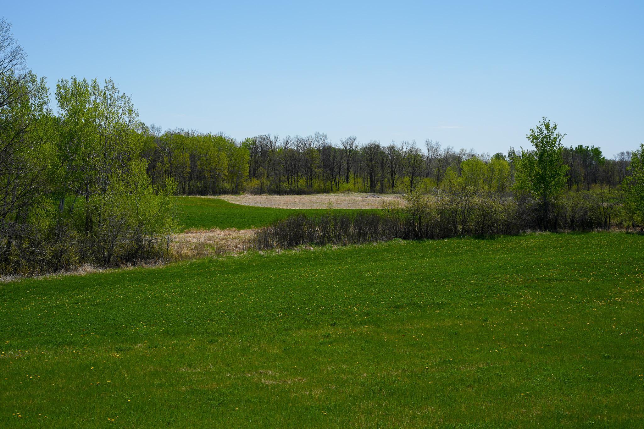 Tbd 140 Street Frazee, MN 56544 - Photo 58 of 149