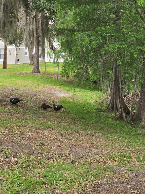 2351 Water View Loop Kissimmee, FL 34743 - Photo 23 of 26