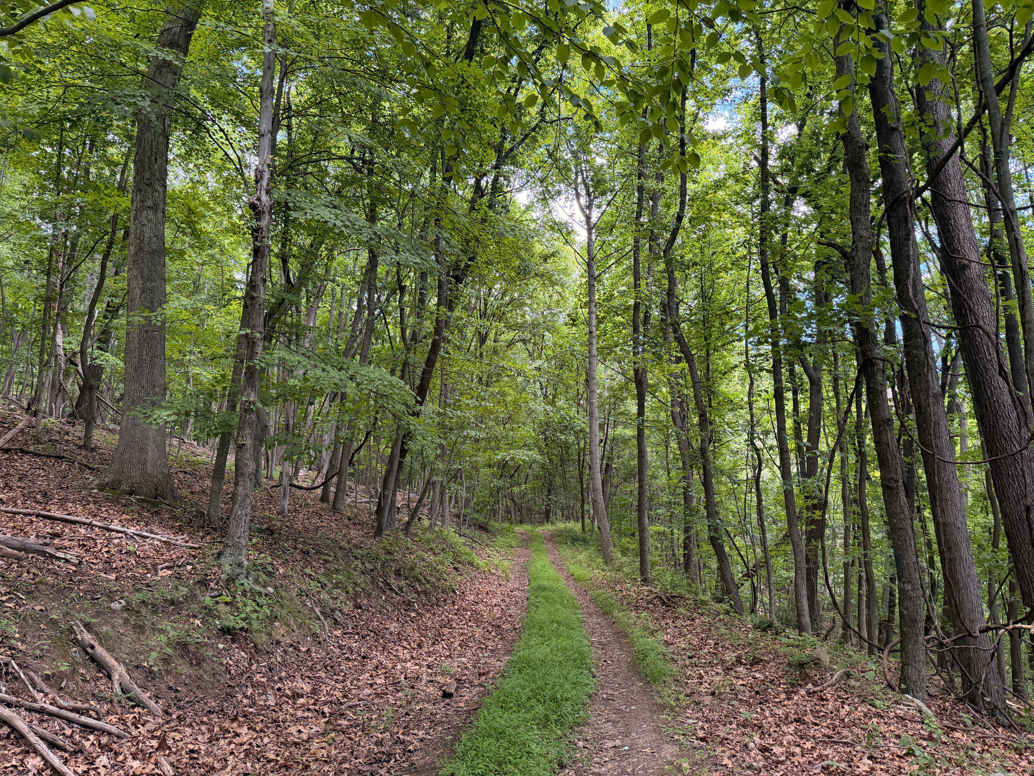 14600 Williams Road Southeast Cumberland, MD 21502 - Photo 14 of 122 Access off of Williams Rd from the southeast