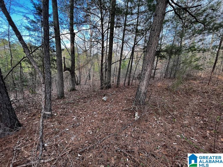 879 County Road 772 Montevallo, AL 35115 - Photo 8 of 8