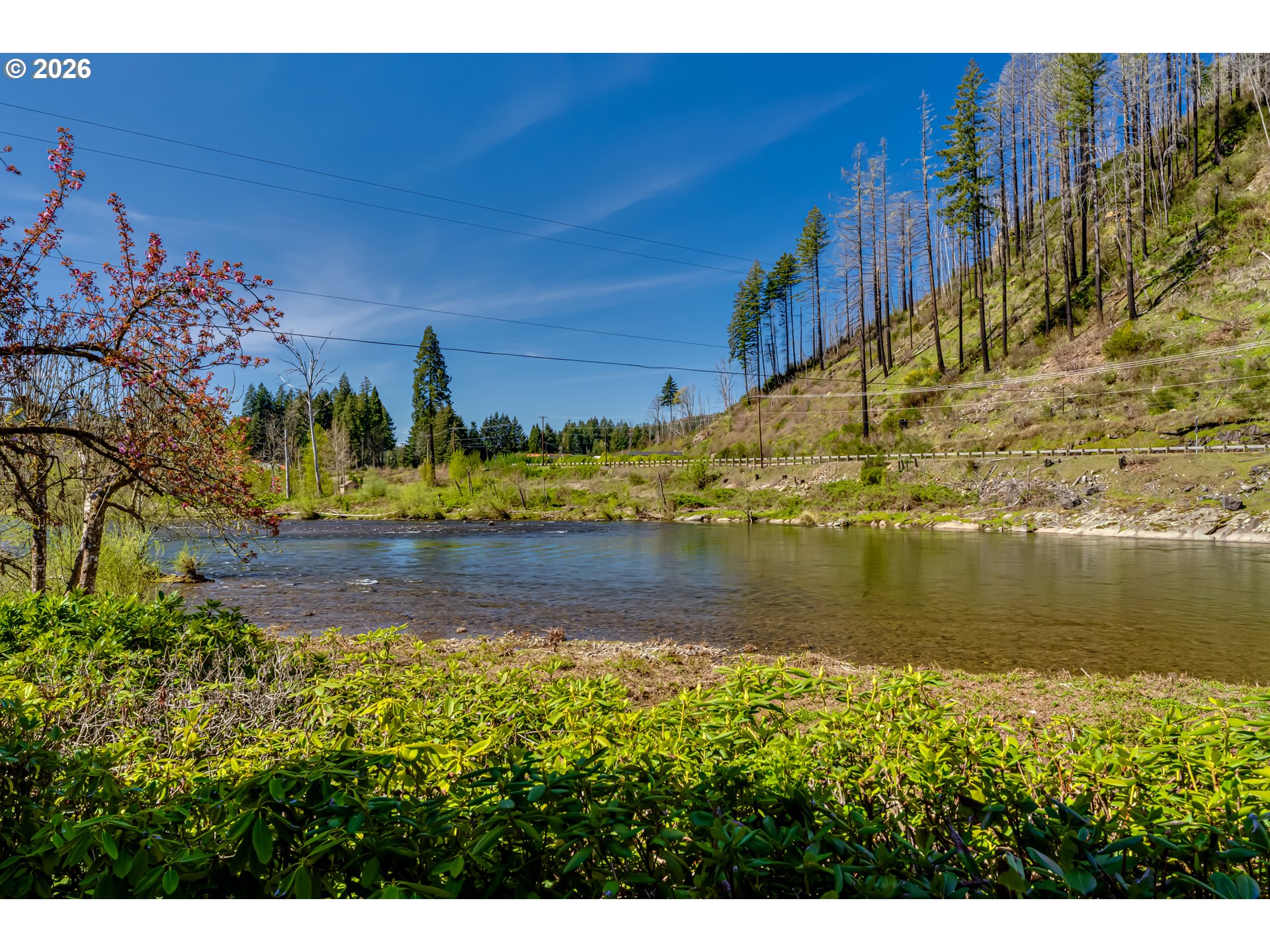 91082 Leashore Drive Vida, OR 97488 - Photo 45 of 47