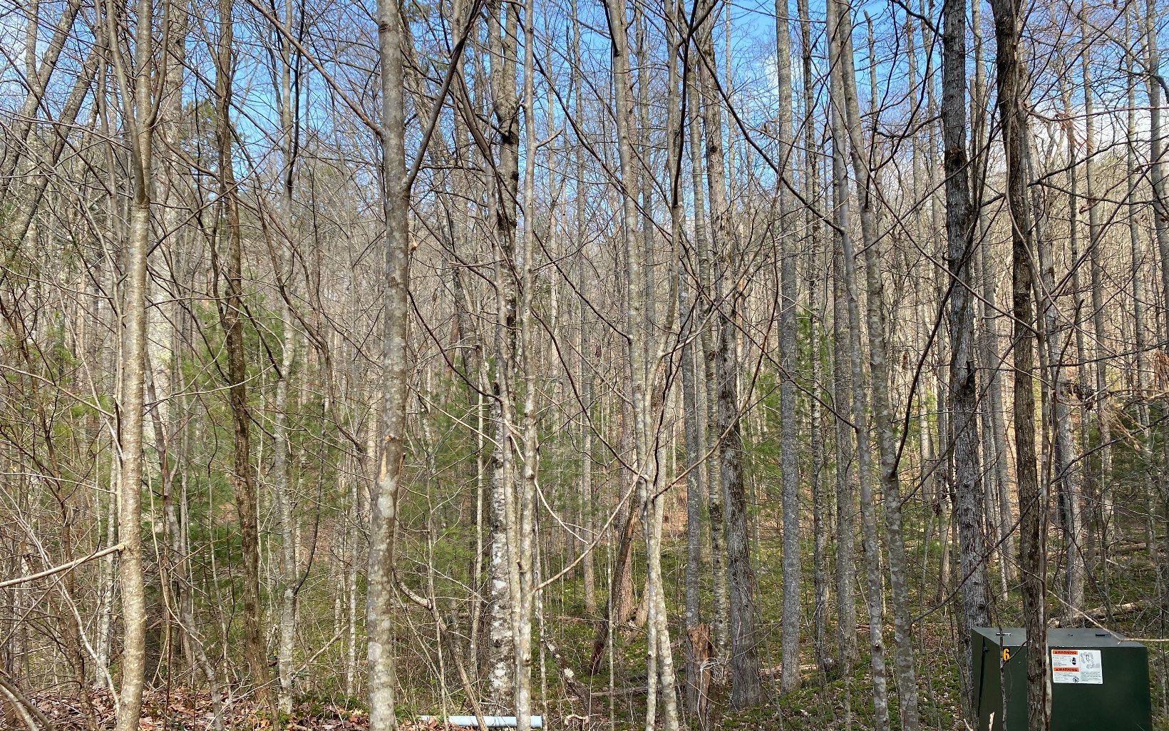 Lot1 Cohutta Overlook Drive Blue Ridge, GA 30513 - Photo 4 of 4 Additional View