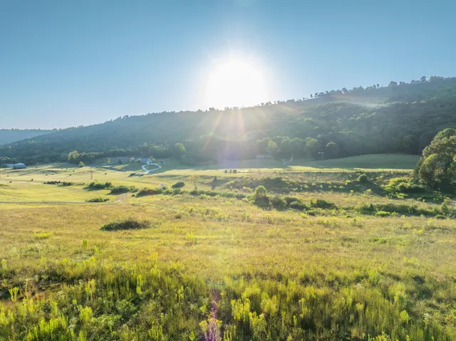 $208,980 | 0 Back Valley Road, Trenton, GA 30752