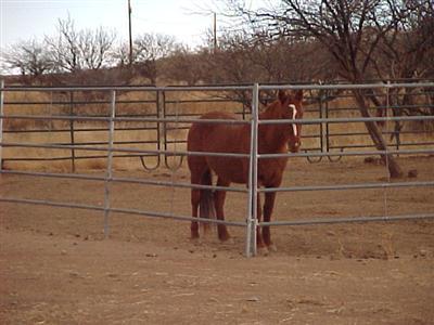 1839 North Gails Road Tombstone, AZ 85638 - Photo 4 of 10
