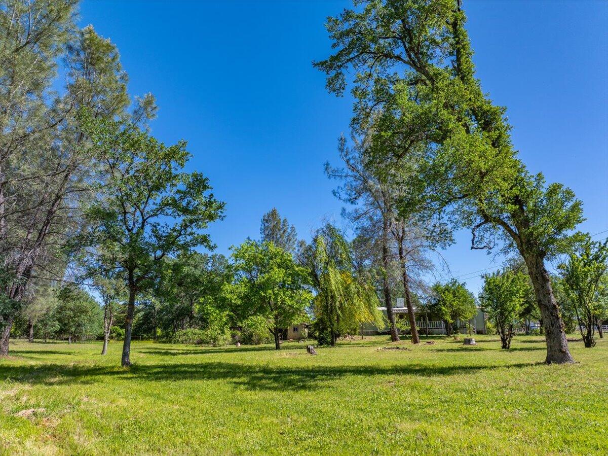 22100 Old Alturas Road Redding, CA 96003 - Photo 5 of 14 11-22100 Old Alturas Rd - E-11