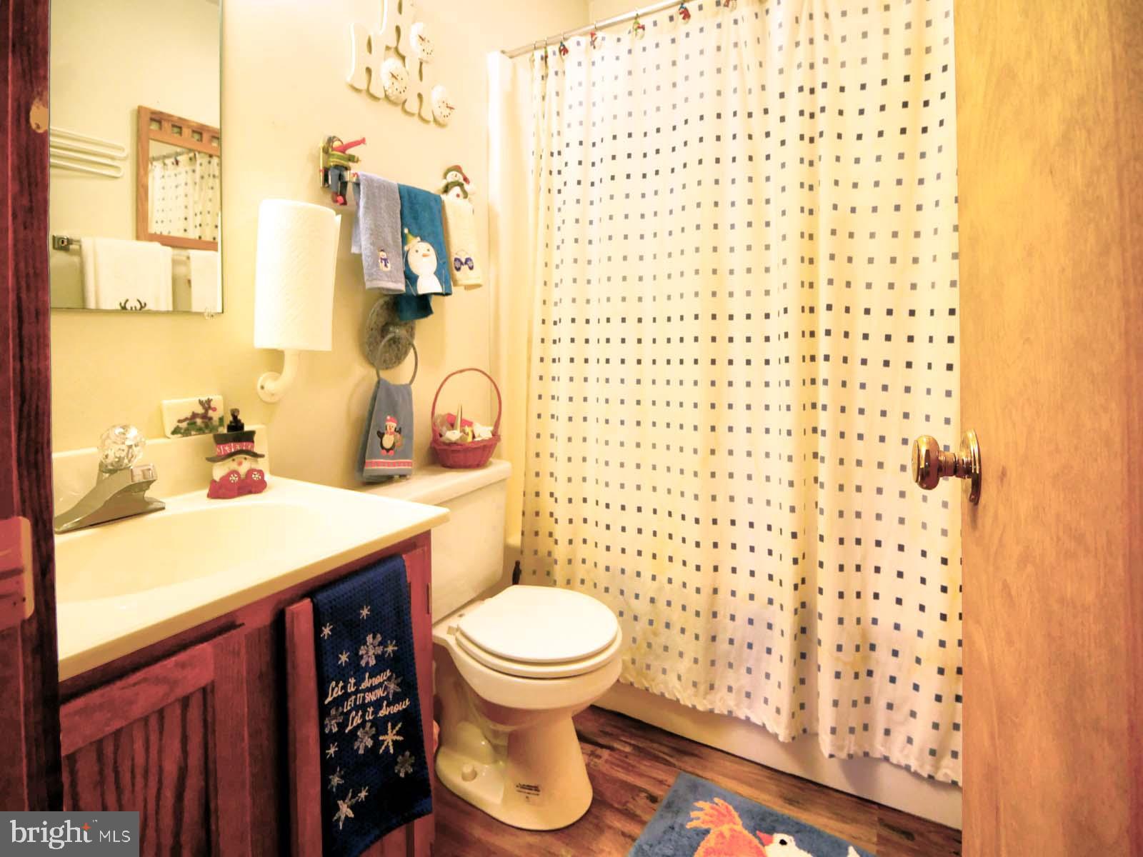 51 Forrest Street Basye, VA 22810 - Photo 17 of 27 a bathroom with a sink and a toilet