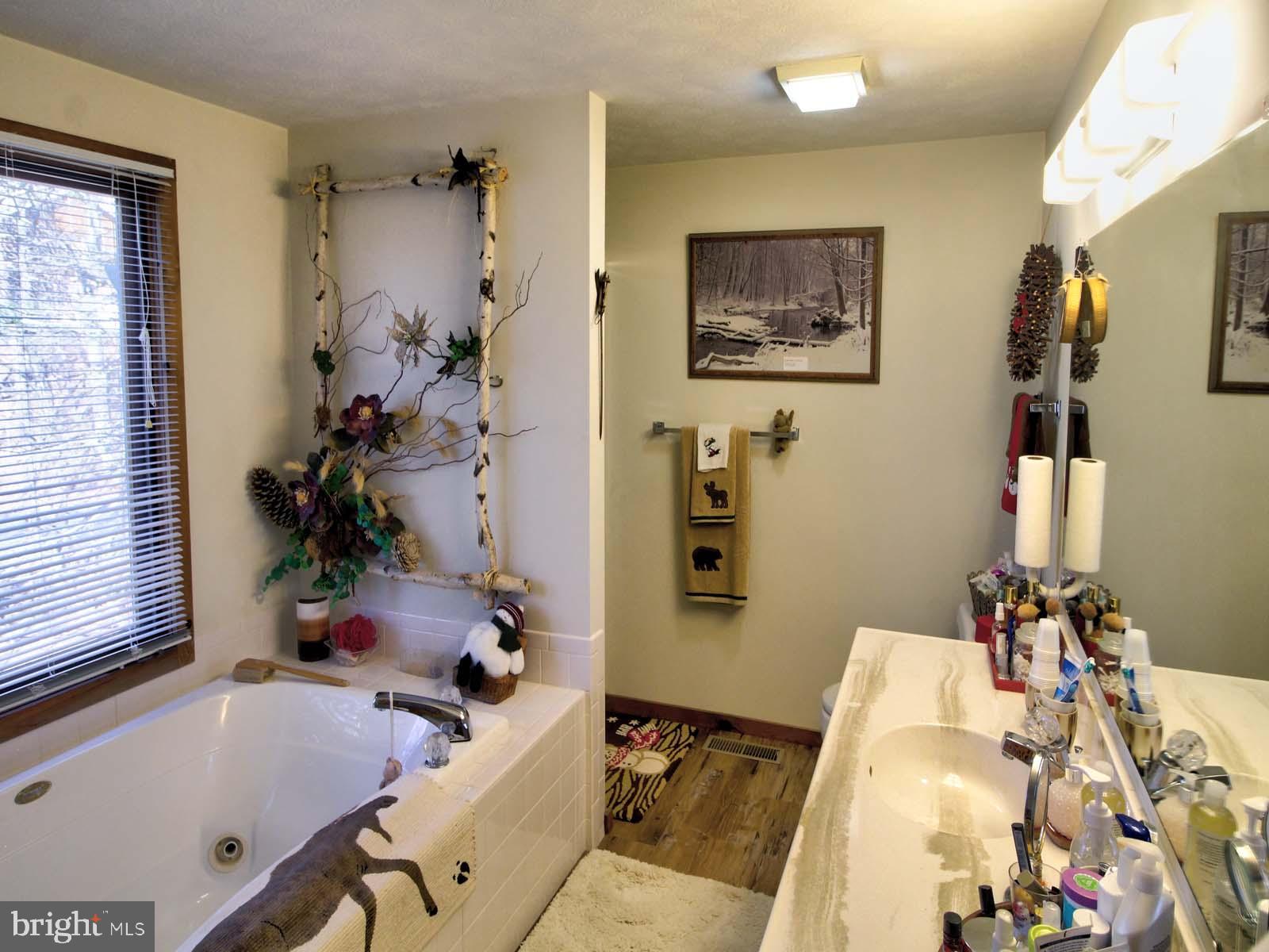 51 Forrest Street Basye, VA 22810 - Photo 19 of 27