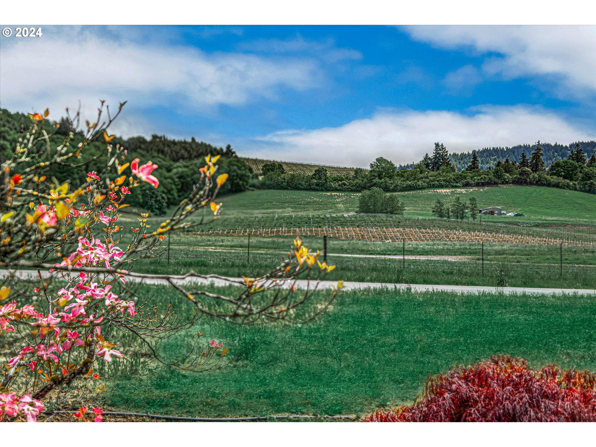 30120 Northeast Benjamin Road Newberg, OR 97132 - Photo 43 of 43 Gallery Image 43