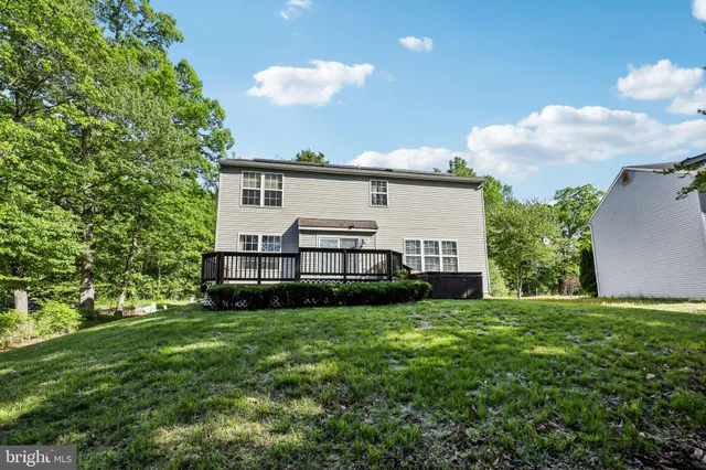 a view of a backyard with plants and a garden