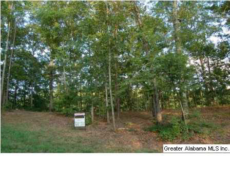 Lot 17 Sunset Ridge, Unit 17 Wedowee, AL 36278 - Photo 3 of 5