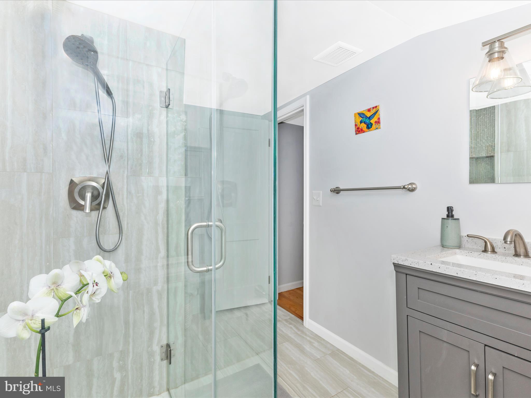 507 Kerwin Court Silver Spring, MD 20901 - Photo 20 of 51 a bathroom with a shower