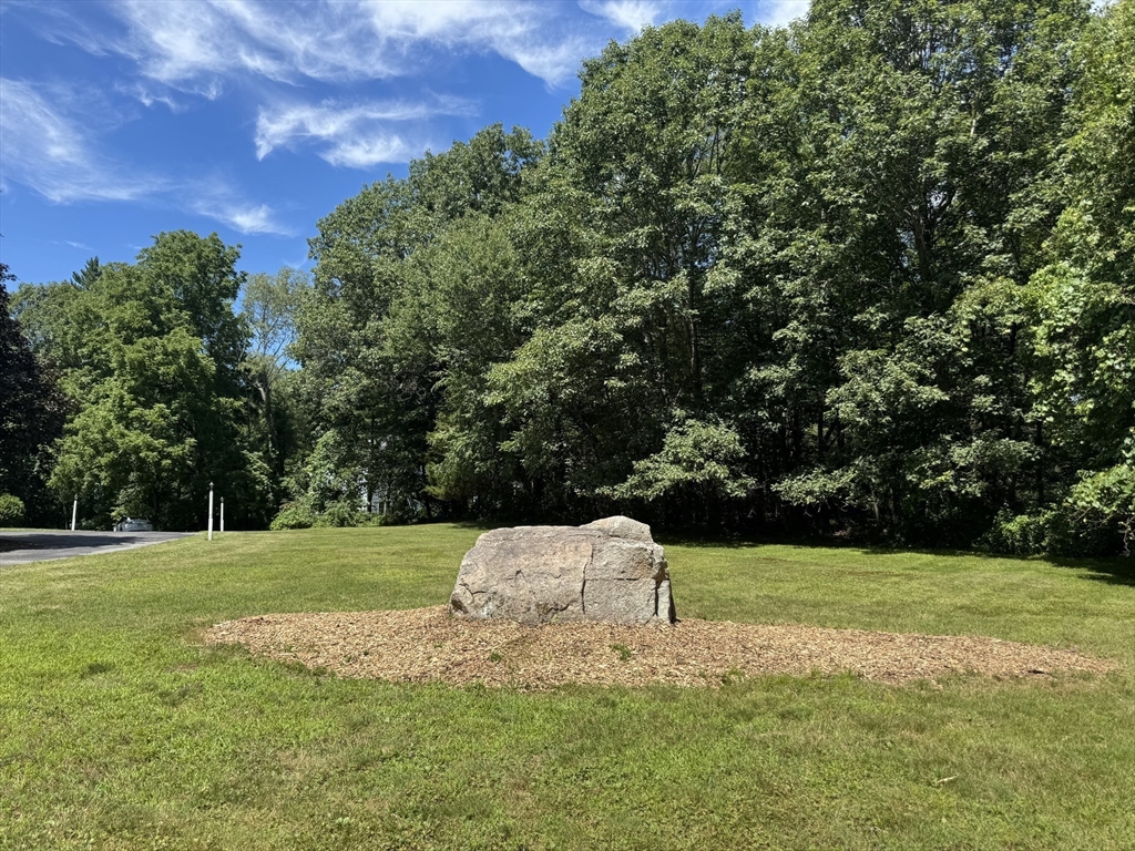 9 Breezy Point Road Acton, MA 01720 - Photo 37 of 37 a view of a tree in a yard