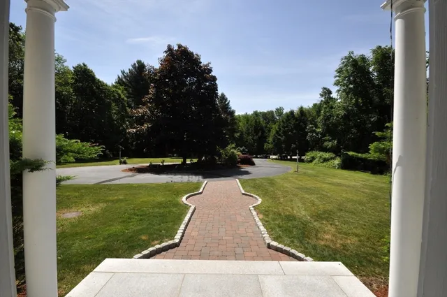 a view of park with large trees