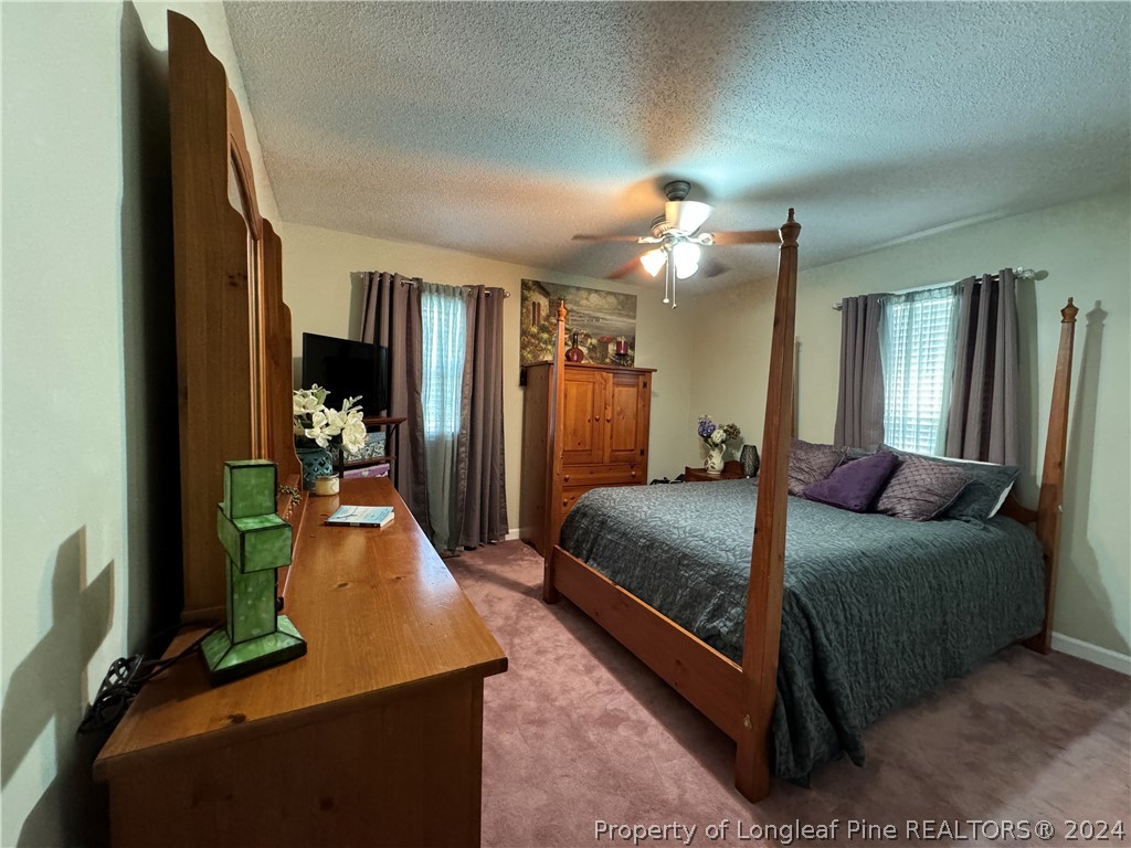 209 Old Farm Road Raeford, NC 28376 - Photo 27 of 45 a bed room with a bed window and a mirror