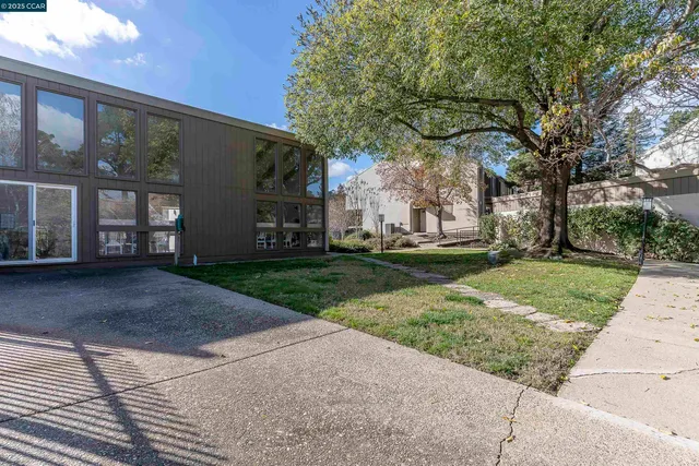 a view of a yard with plants and a large tree