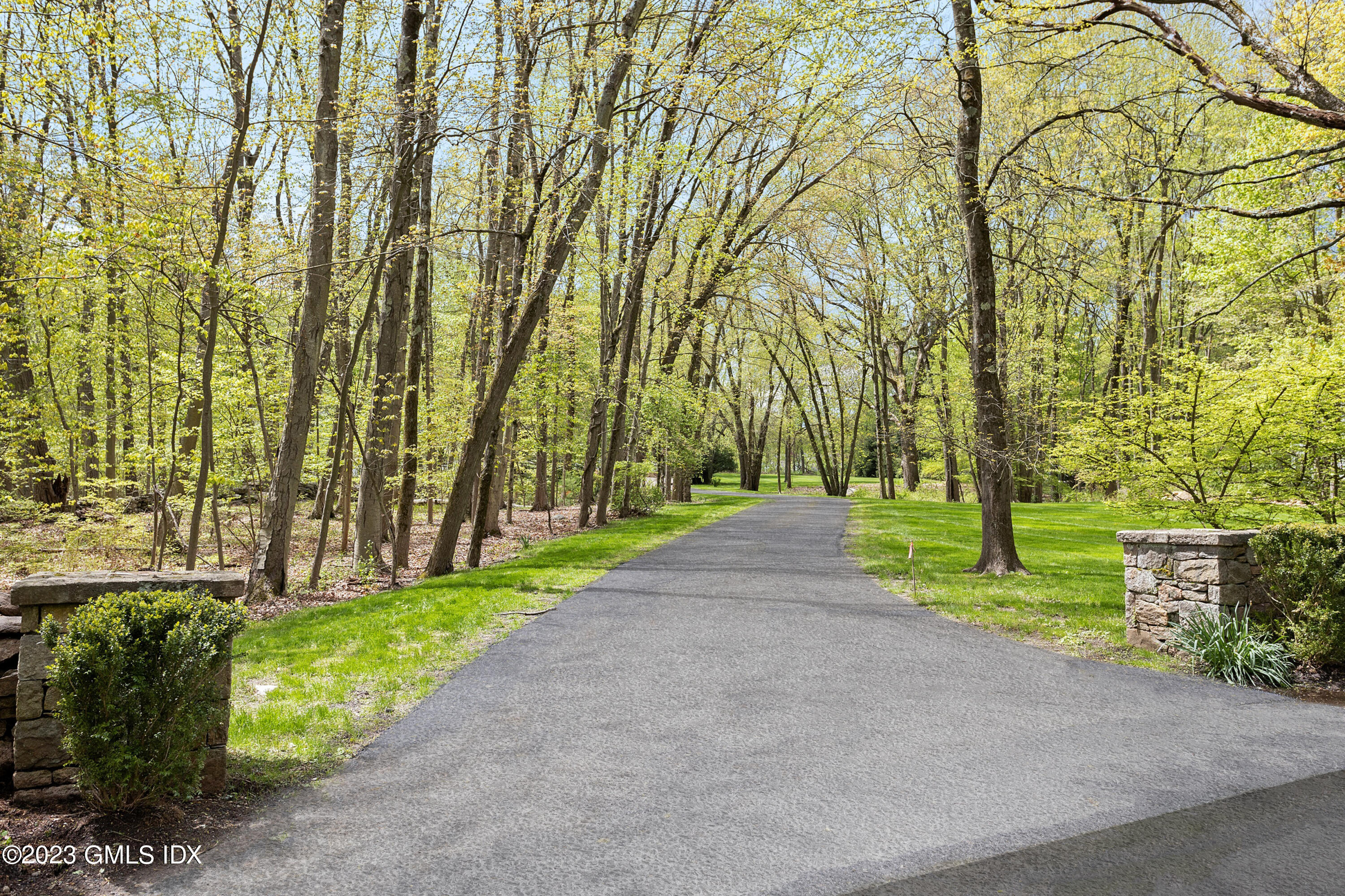 48 Old Mill Road Greenwich, CT 06831 - Photo 44 of 47 a view of a park with large trees