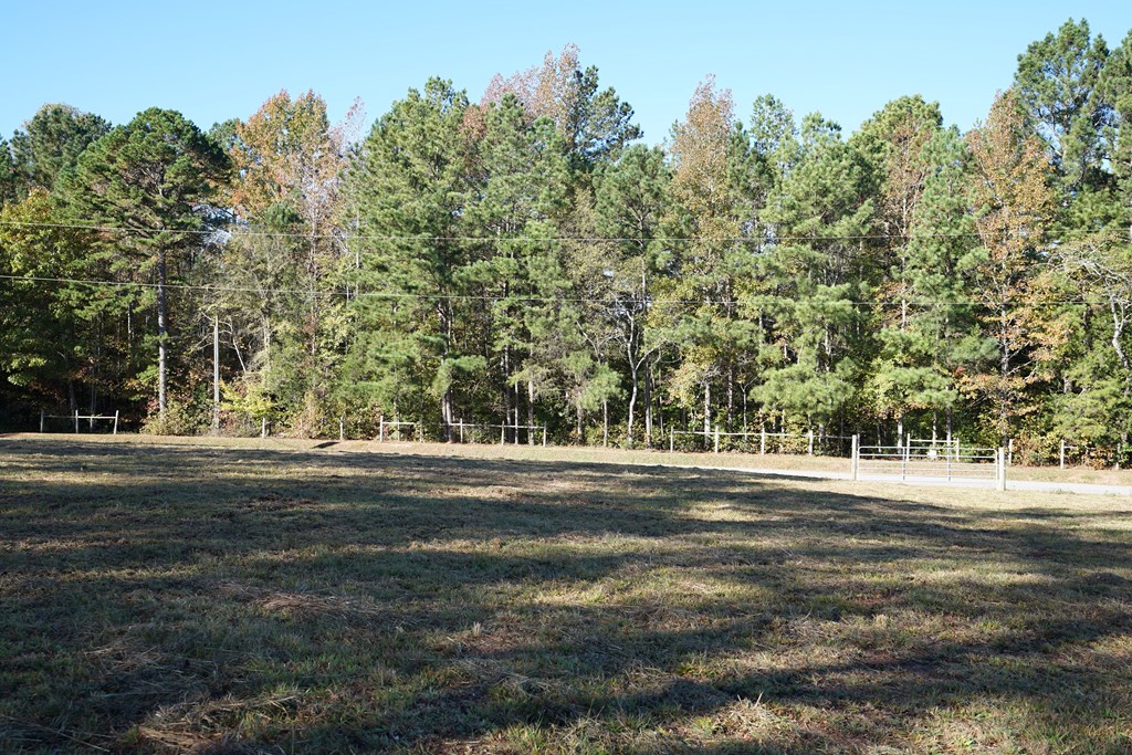 0 Blue Jay Road Hodges, SC 29653 - Photo 5 of 21 Gallery Image 5