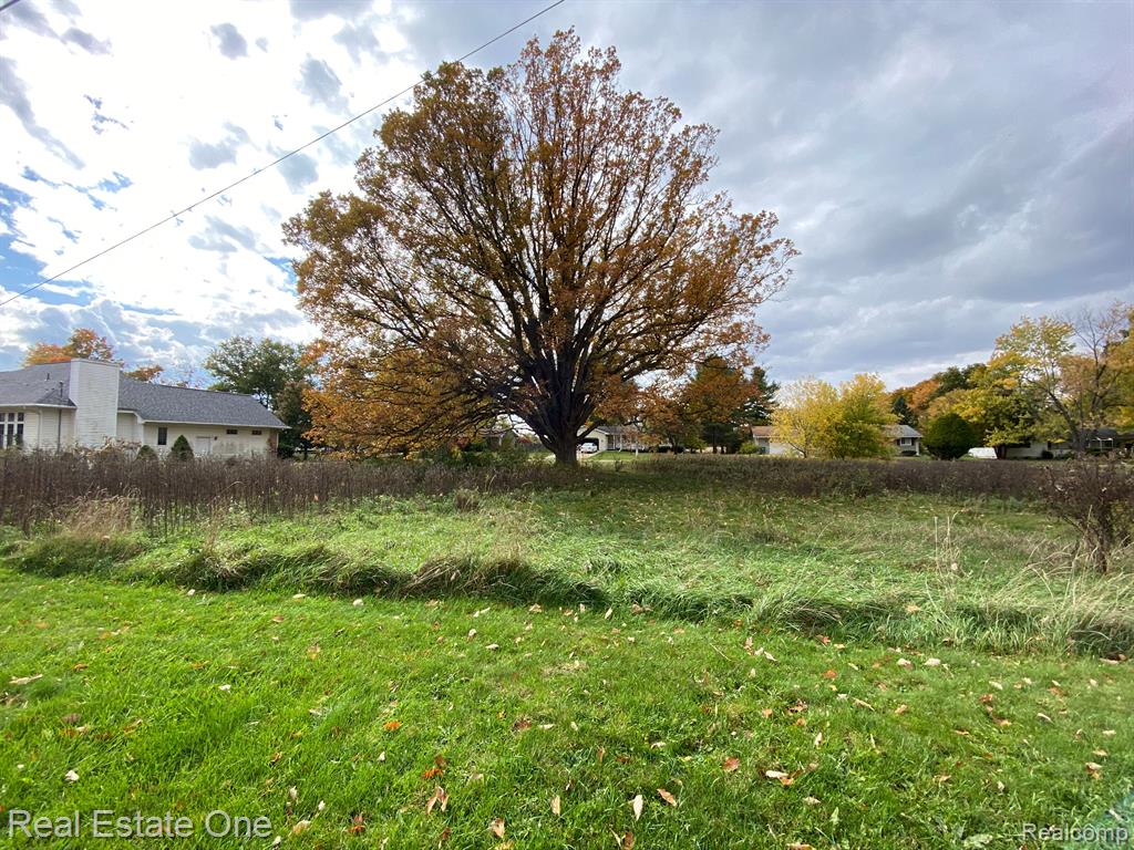 Vl Meadowlawn Road Fowlerville, MI 48836 - Photo 8 of 9