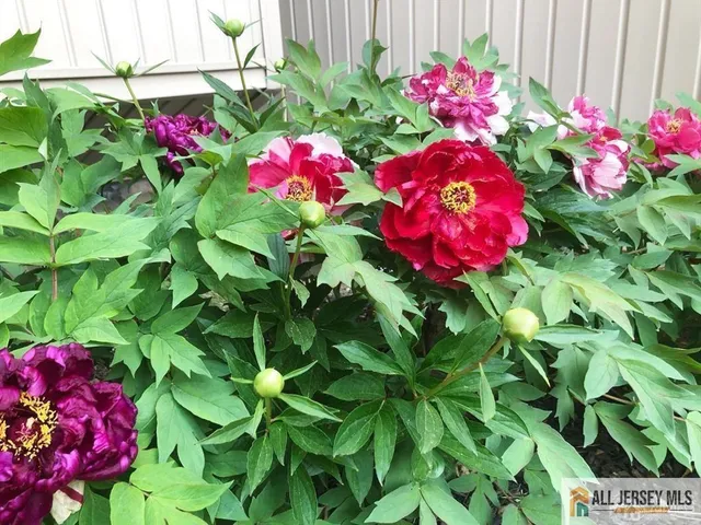 $3,500 | 41 Ardsley Court, East Brunswick, NJ 08816