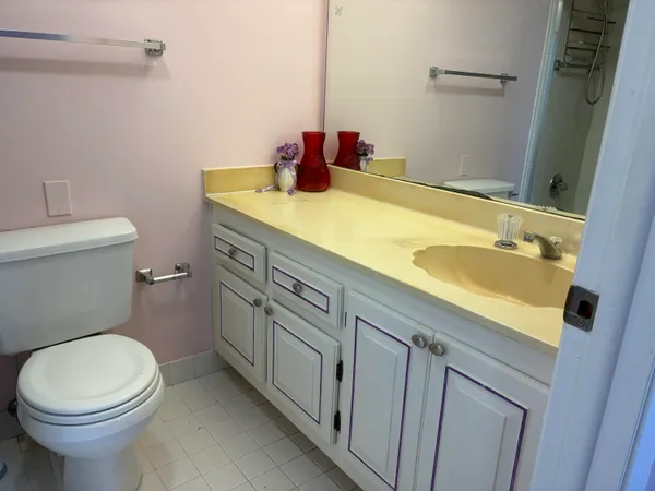 a bathroom with a sink and a toilet