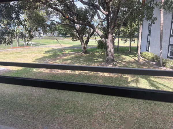 a view of a yard