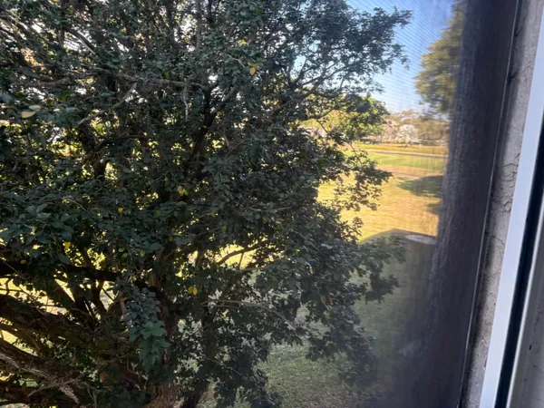 a view of sky from window