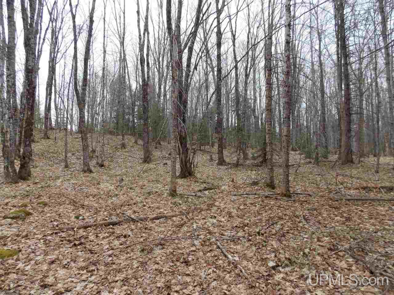 Tbd Tbd Off Hakkinen Road Lanse, MI 49946 - Photo 3 of 9