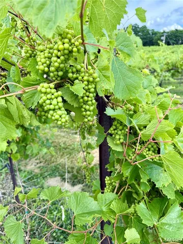 $625,000 | 0 21.03 Acres Highway, Augusta, MO 63332