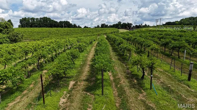 $625,000 | 0 21.03 Acres Highway, Augusta, MO 63332