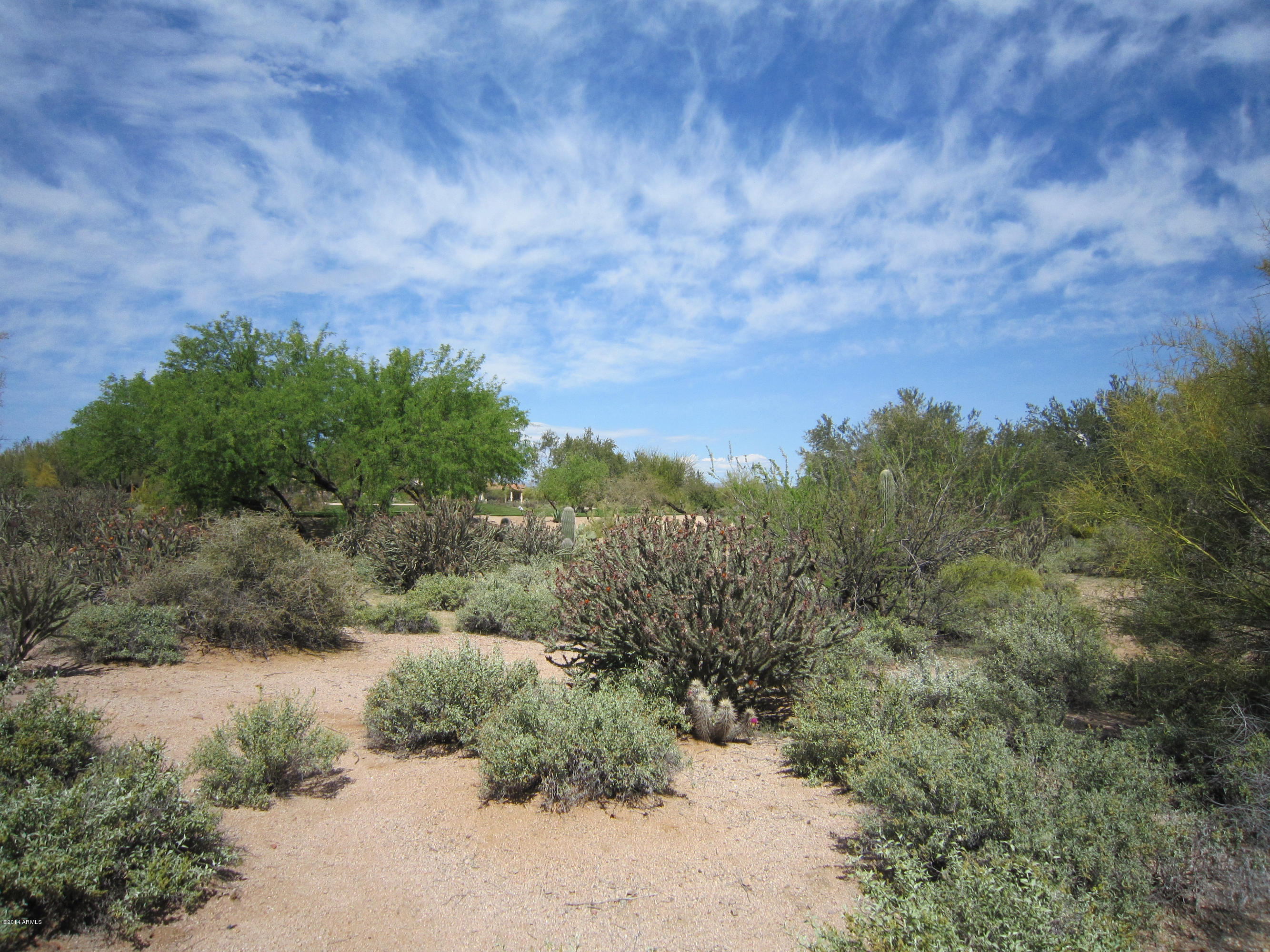 26602 North Aguila Road, Unit 128 Rio Verde, AZ 85263 - Photo 5 of 11 View from lot towards golf course