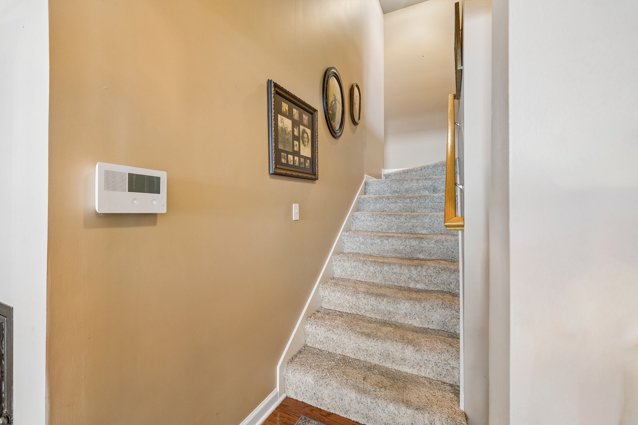 3212 Vera Valley Road Franklin, TN 37064 - Photo 28 of 38 Gallery Image 28