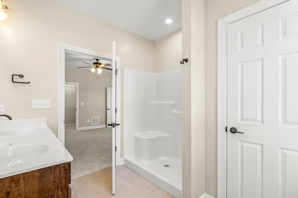 a bathroom with a sink and a shower