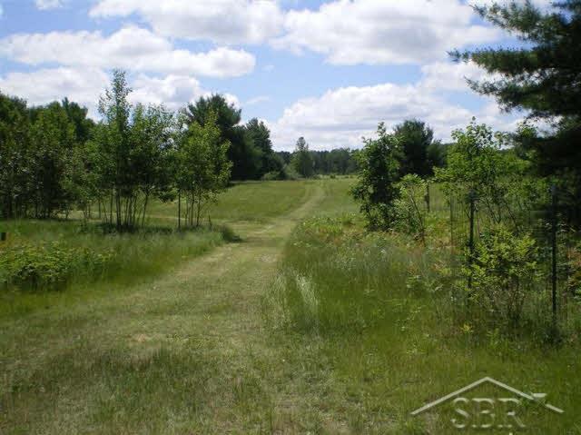 7790 Turtle Road Whittemore, MI 48770 - Photo 7 of 12 31298403-6.JPG