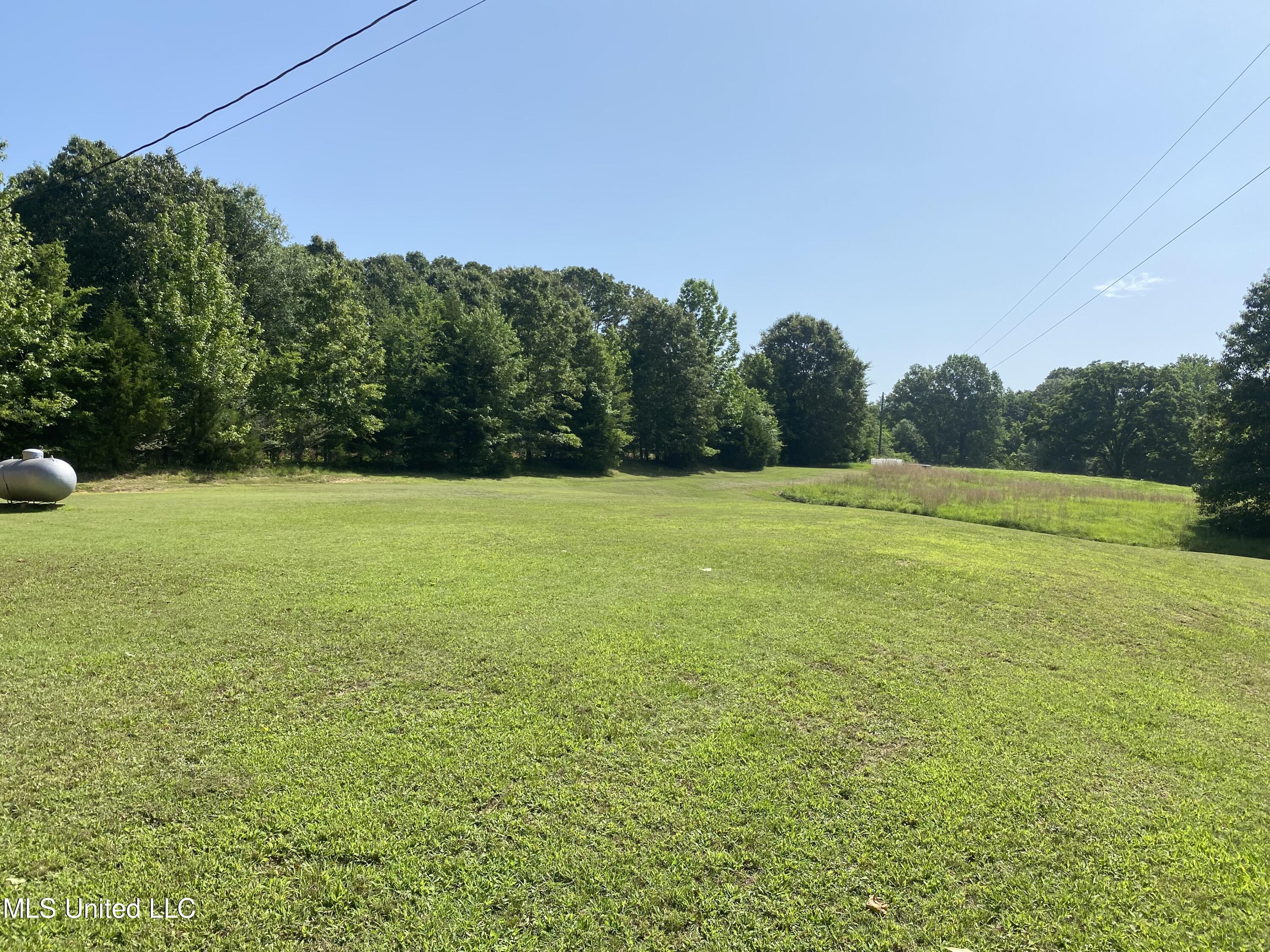 199 Jones Road Coldwater, MS 38618 - Photo 19 of 24 275EC0F0-F3A4-41B5-A806-7C23CD70AE18