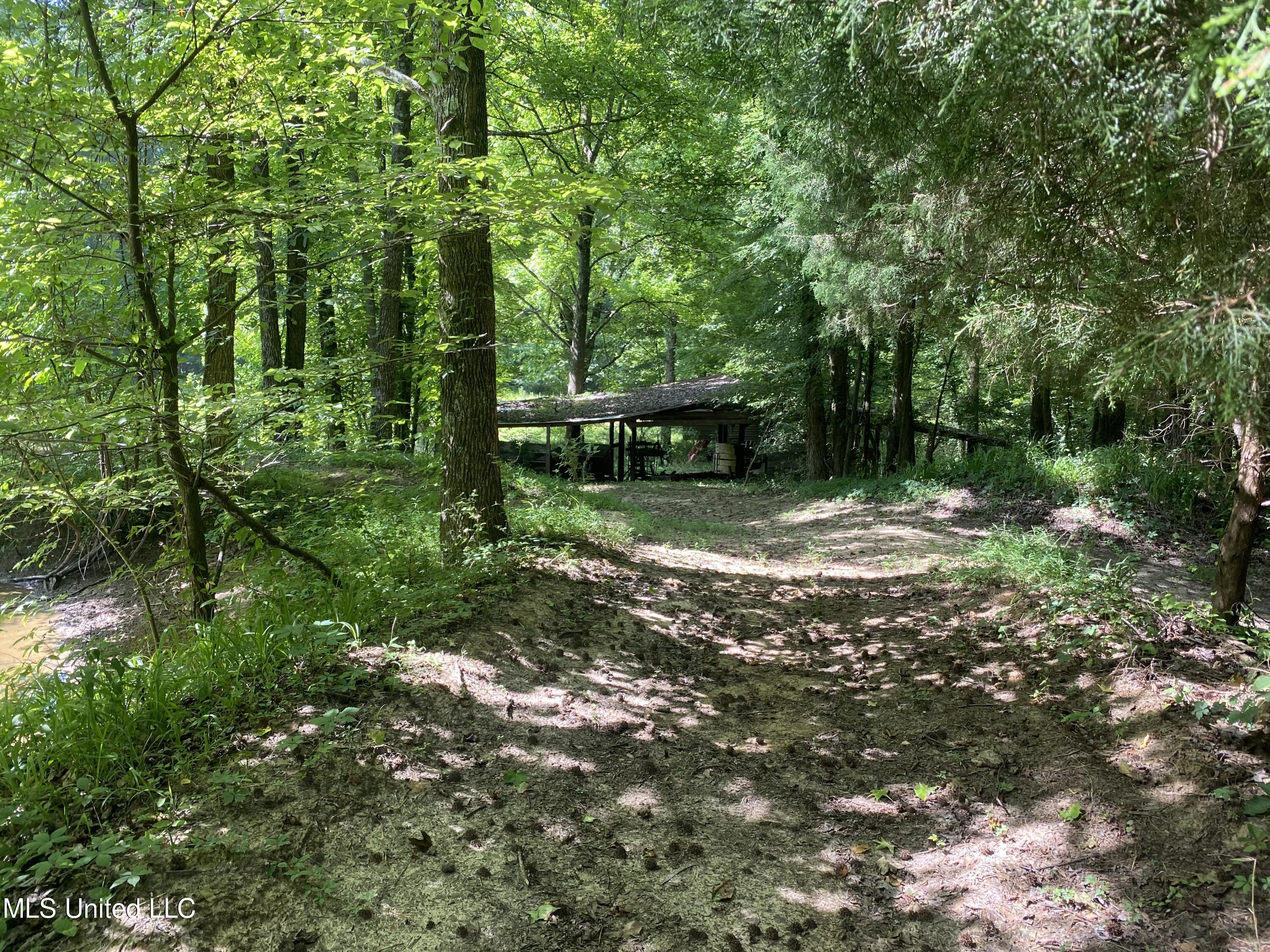199 Jones Road Coldwater, MS 38618 - Photo 21 of 24 6D606D8A-5965-4DFE-8478-50F51CF6B819