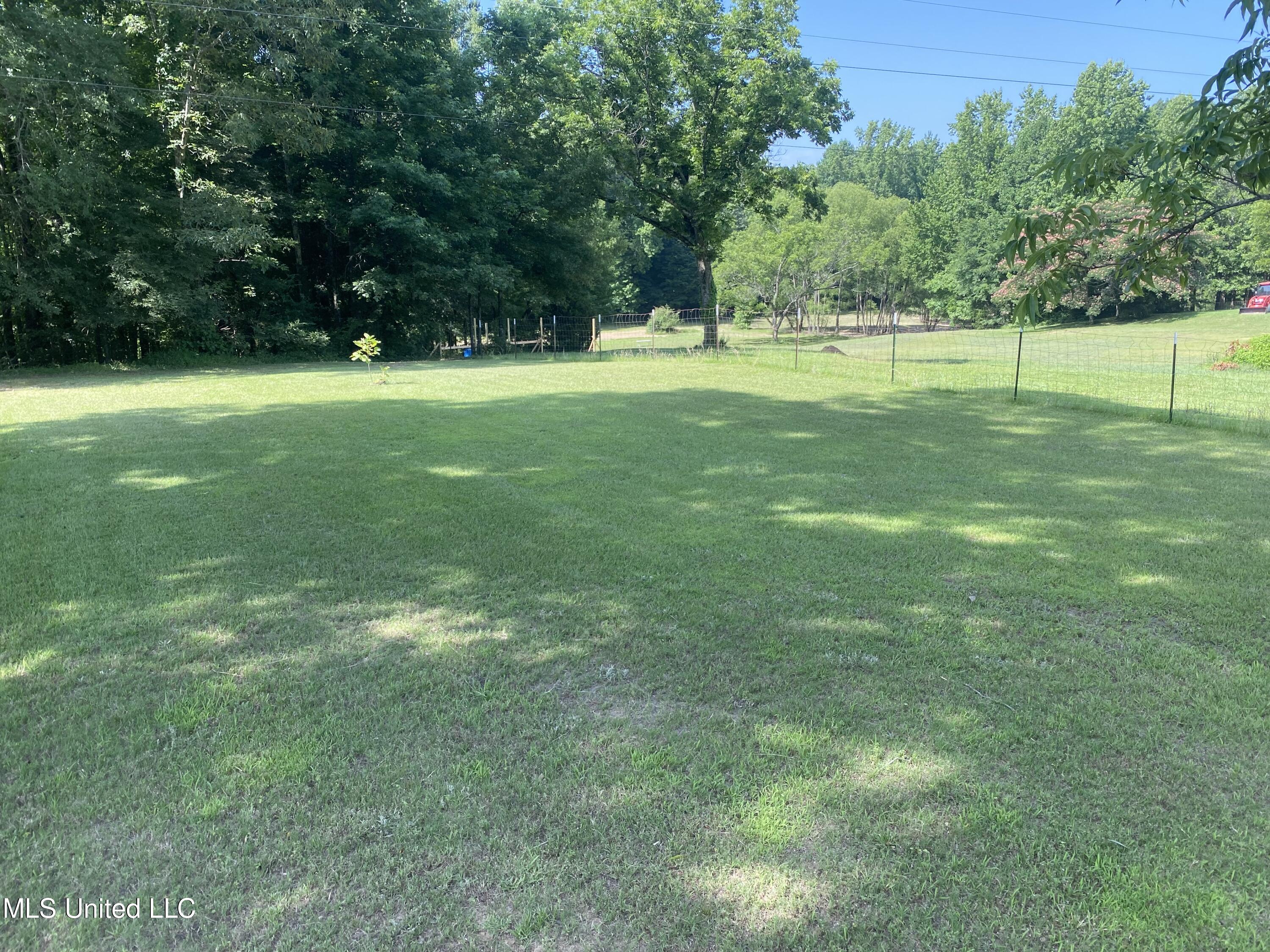 199 Jones Road Coldwater, MS 38618 - Photo 23 of 24 0399366E-0AE4-49AE-864C-0DA5D125567E