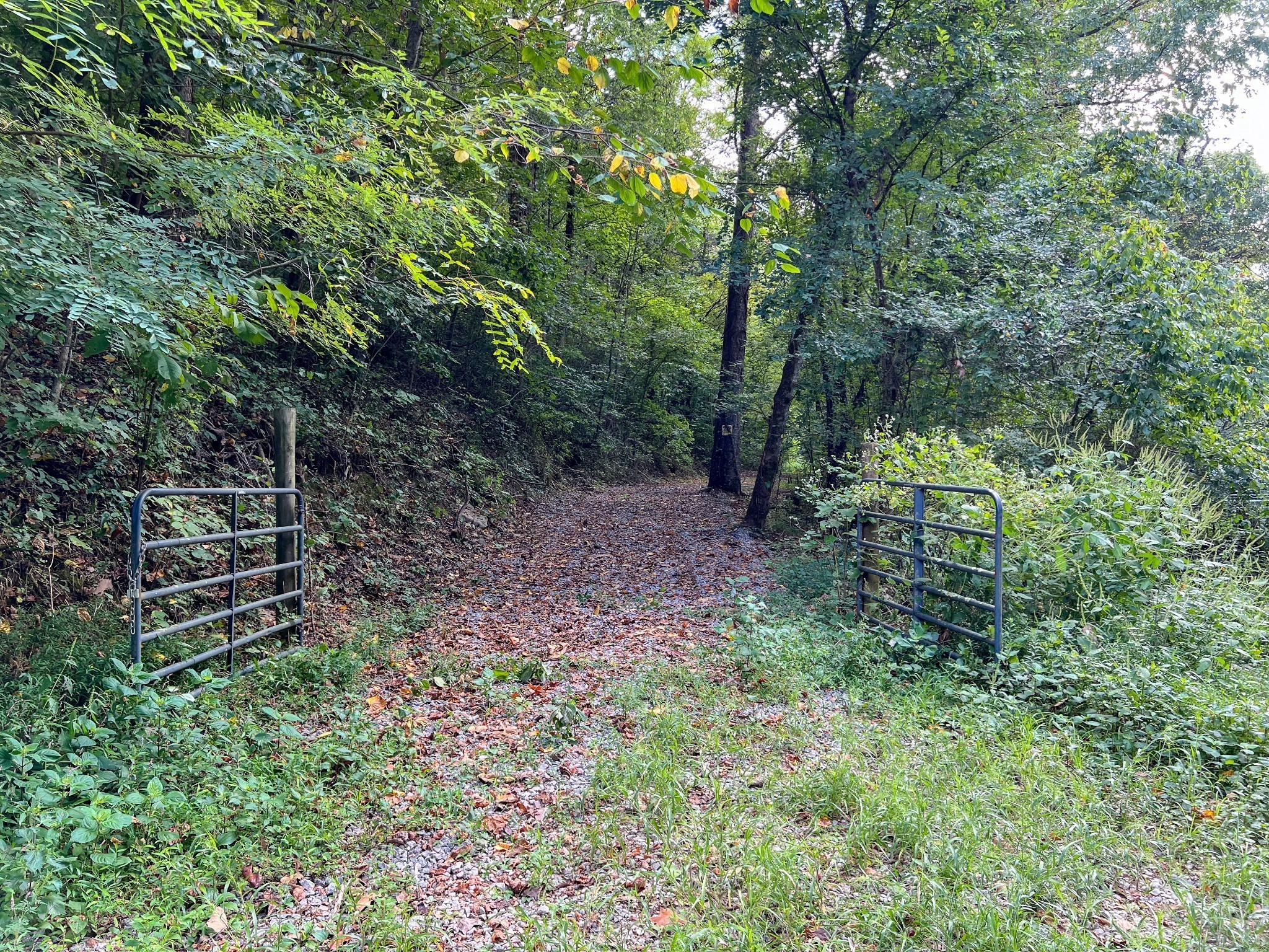 7659 Burks Road Christiana, TN 37037 - Photo 14 of 32 a backyard of a house with lots of green space and forest
