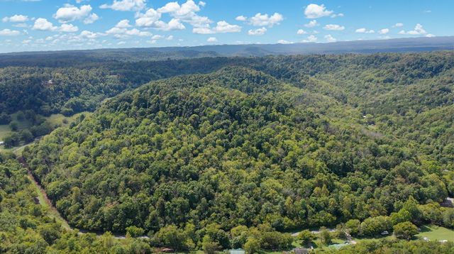 a view of a big yard with lots of green space