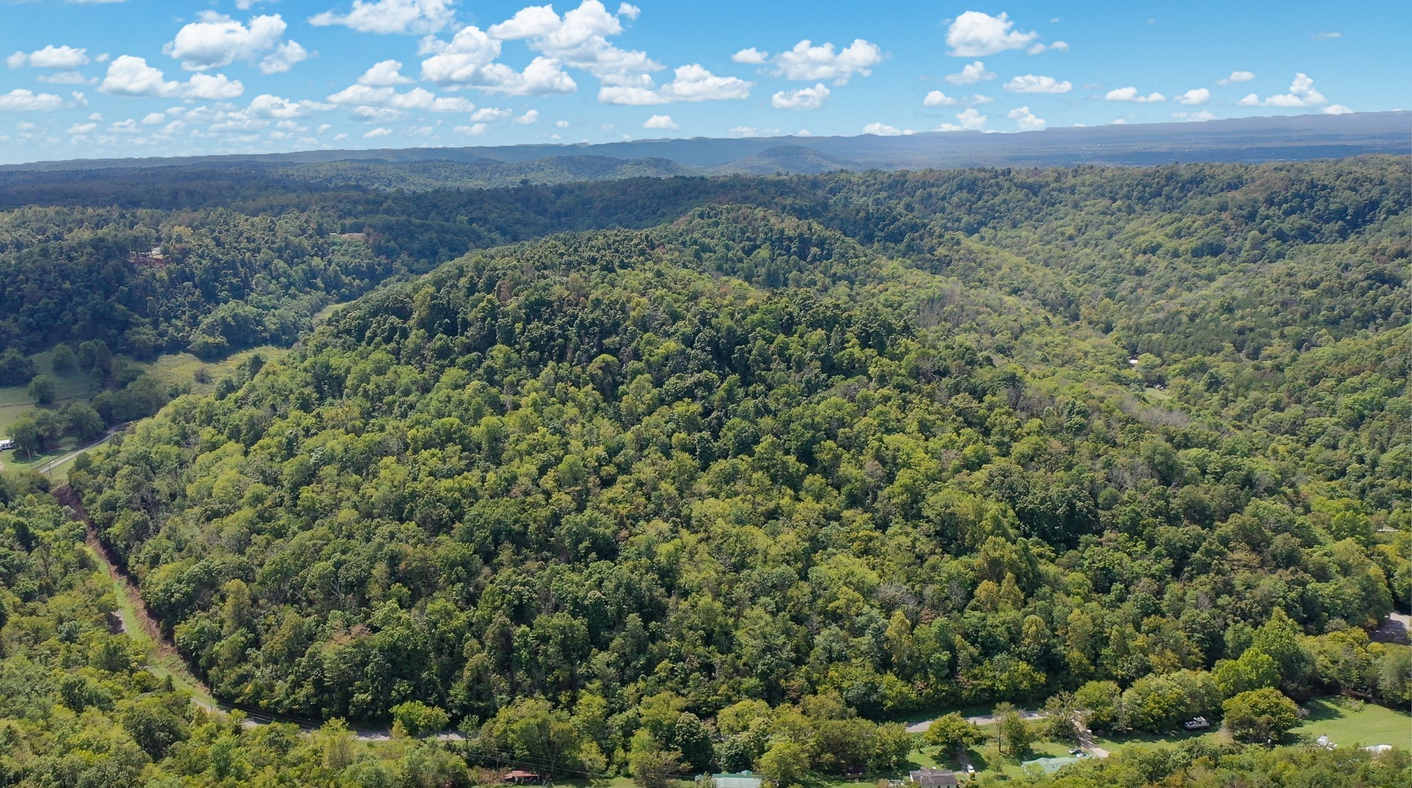 7659 Burks Road Christiana, TN 37037 - Photo 16 of 32 a view of a big yard with lots of green space