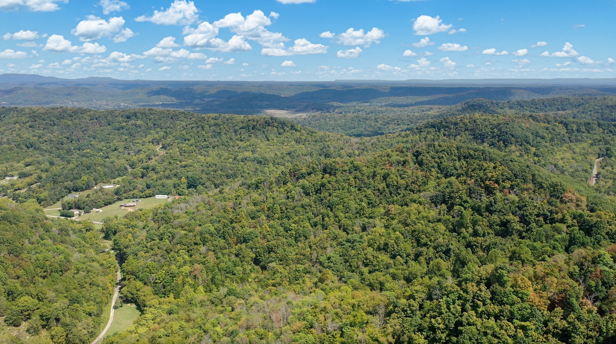 7659 Burks Road Christiana, TN 37037 - Photo 20 of 32 a view of a big yard with lots of bushes