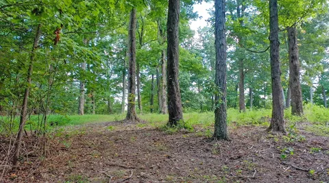 a view of outdoor space and green space