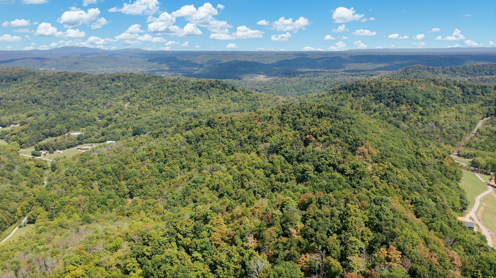 7659 Burks Road Christiana, TN 37037 - Photo 21 of 32 a view of a large yard with lots of green space