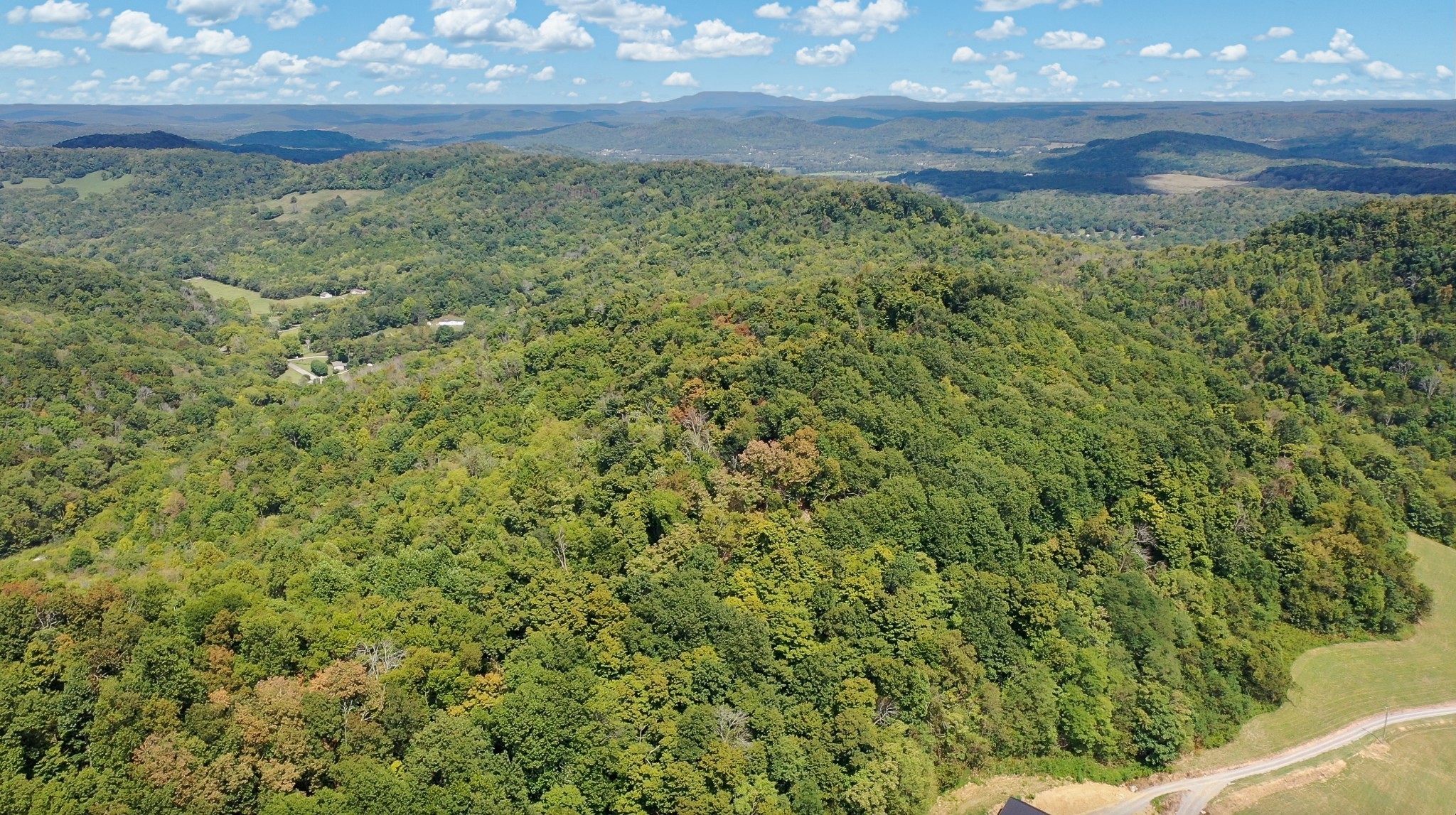 7659 Burks Road Christiana, TN 37037 - Photo 22 of 32 a view of a yard