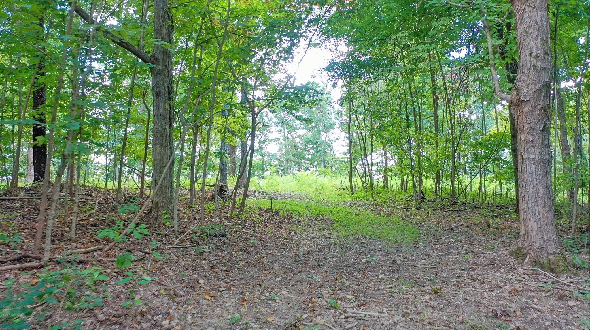 7659 Burks Road Christiana, TN 37037 - Photo 25 of 32 a view of outdoor space and green space