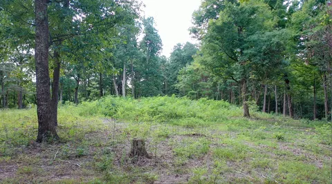 a large yard with lots of green space and house in the back