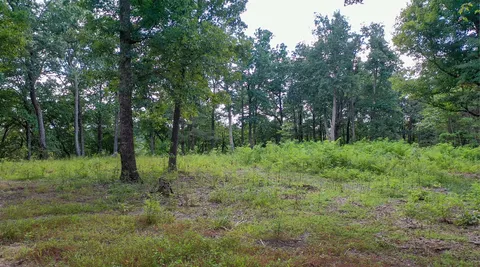 a view of outdoor space and green space