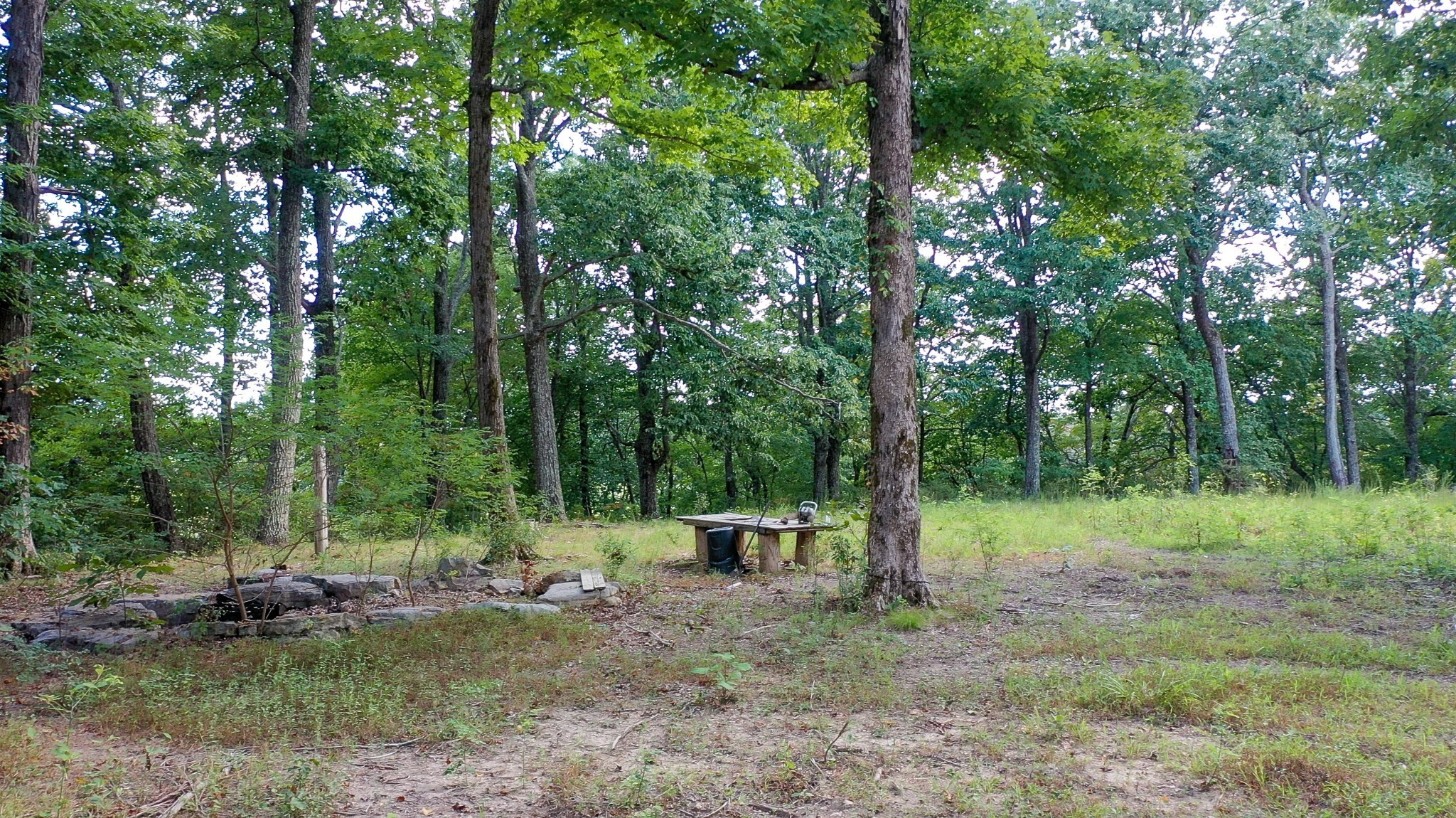 7659 Burks Road Christiana, TN 37037 - Photo 28 of 32 a backyard of a house with lots of green space