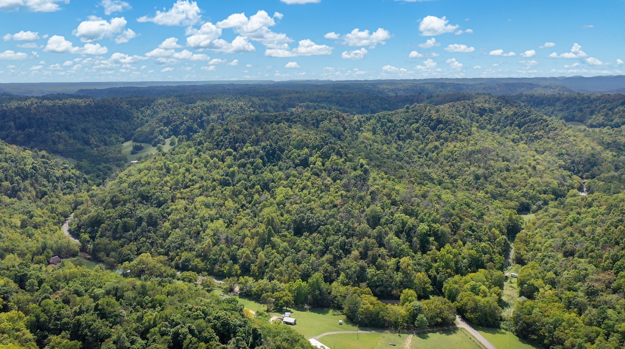 7659 Burks Road Christiana, TN 37037 - Photo 3 of 32 a view of a big yard of the house